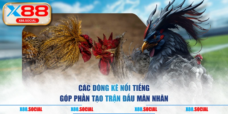 Các dòng kê nổi tiếng góp phần tạo trận đấu mãn nhãn
